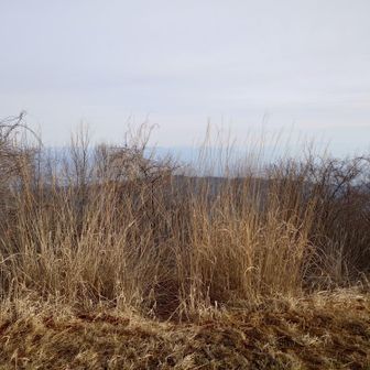 北側に浅間山があるけど、よく見えない😢
