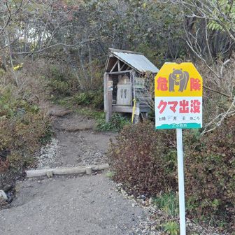 とりあえずヒグマ情報はなし🙂