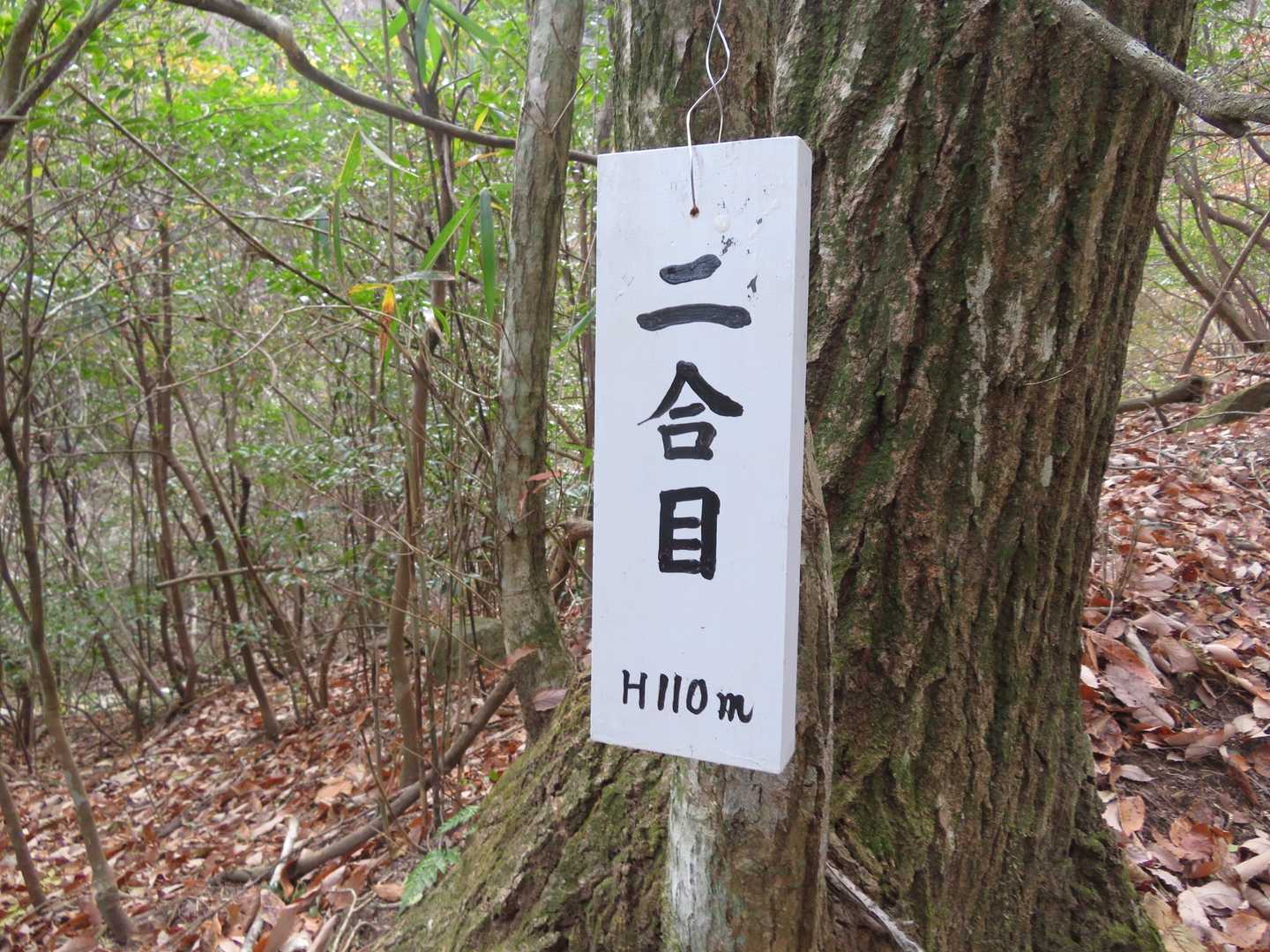 ずっとこの案内あります。