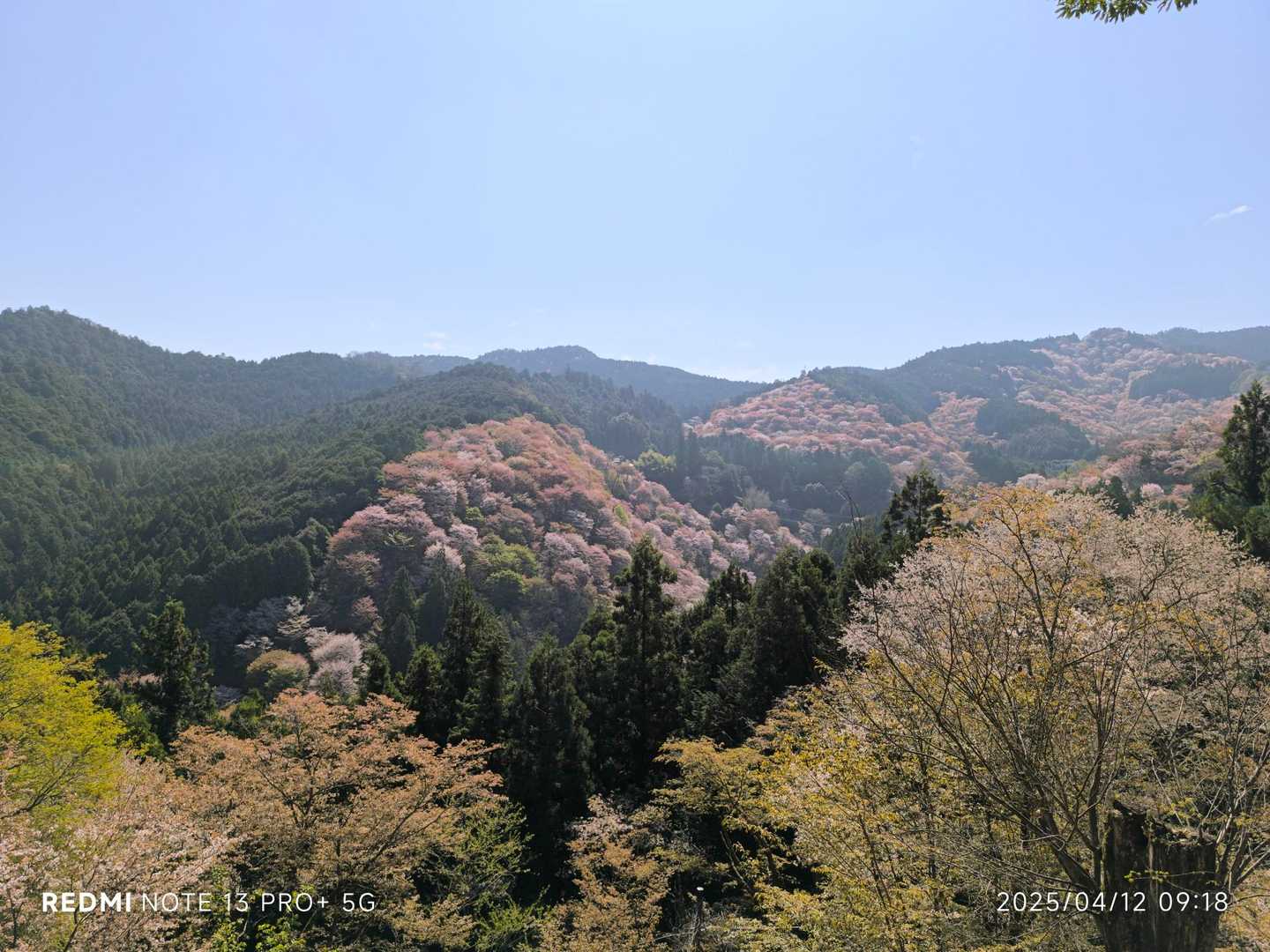 吉野水分神社-高城山-金峯神社-青根ヶ峰 往復コースの写真