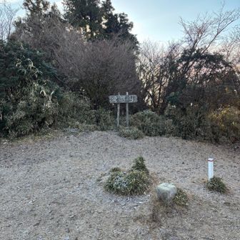 山頂は結構広い