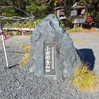 登山口まで下山