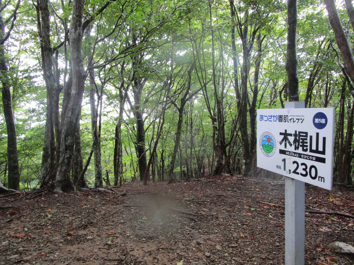 今回は甘い期待がめずらしく叶えられ木梶山に到着、でも展望はナシ
そう言えば昨日の新聞に松阪香肌イレブンの初級5座制覇でピンバッチ先着100名配布ってあった
でも山頂標識と本人またはザックの写真が必要って、そんなの撮ってないぞ、レポも認めてほしいな～
撮られてる方は、こちらからゲットできるようです
https://logoform.jp/form/TY2e/30331