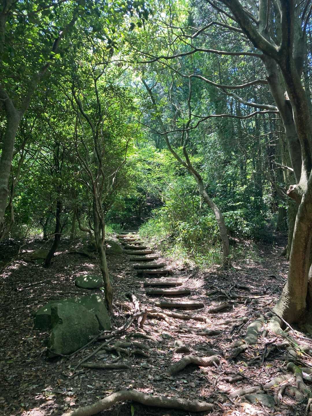 木が生い茂ってるので日差しは遮られていましたが、やっぱり汗は出ますね　夏だ‼️