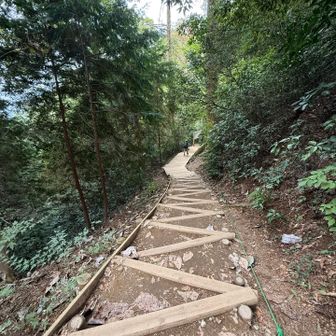 4号路を下りましたが、よく整備されています。