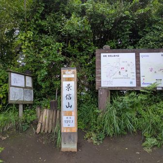 久し振りに景信山まで。歩けたことにちょっと嬉しい。疲れたけど。
時間と体調整えて次は遠出したい。