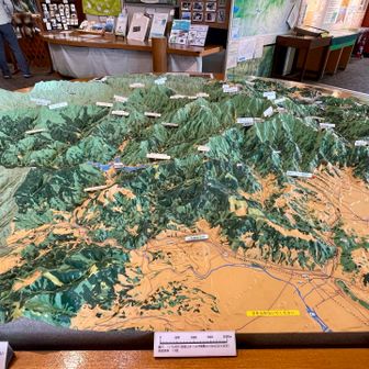 おおお！立派な丹沢の立体模型が！