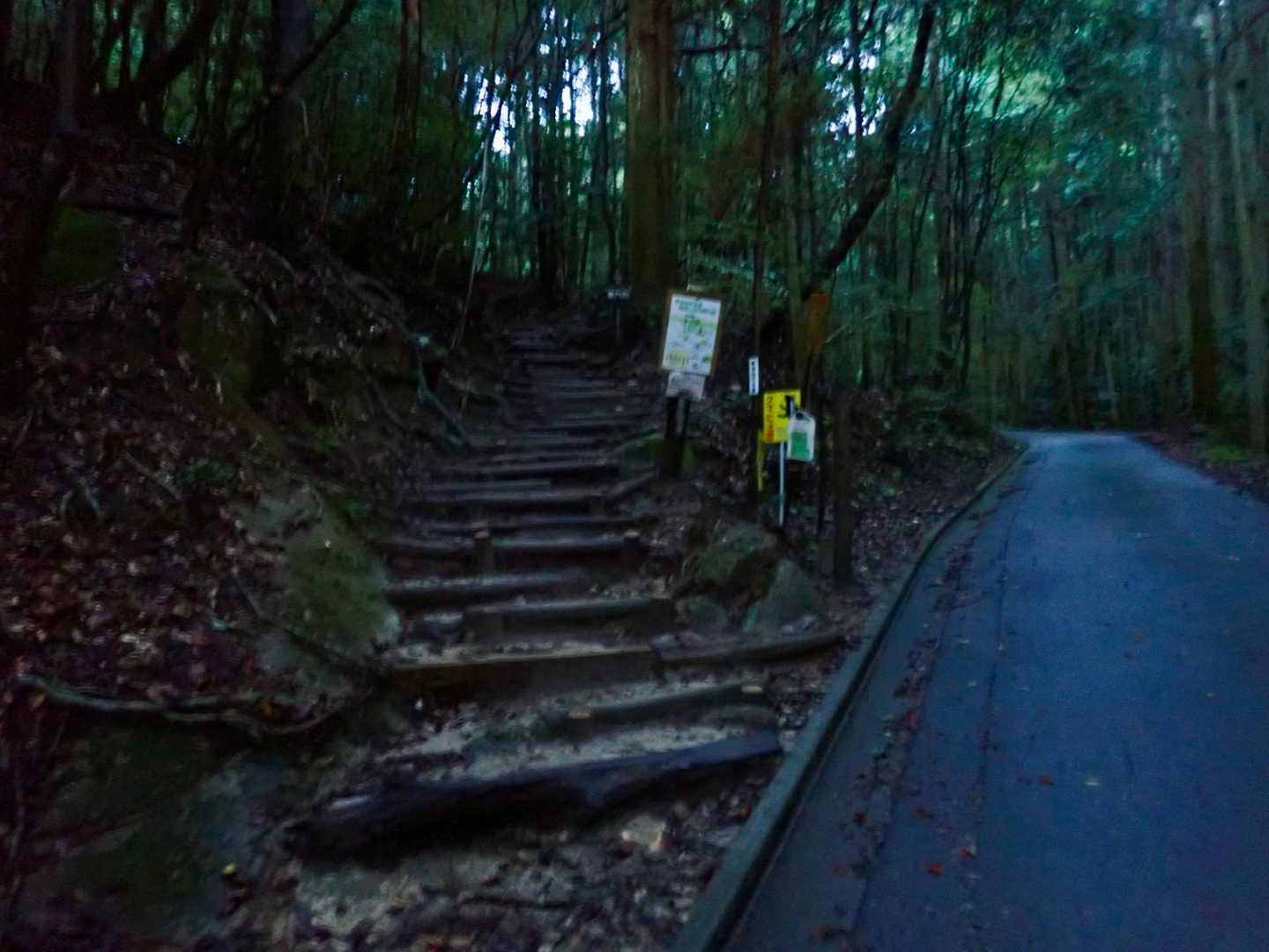 登山道へ