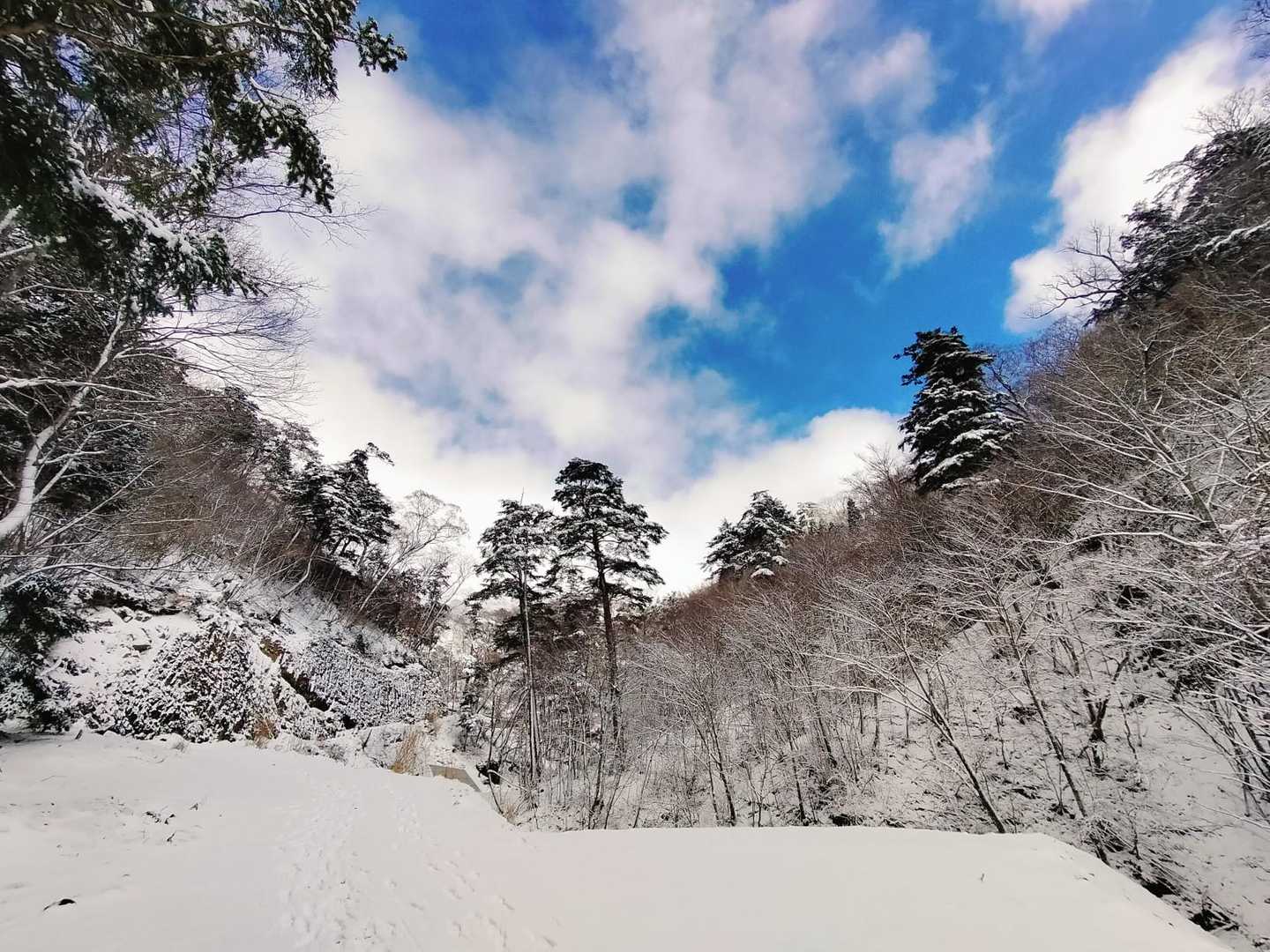 この時はまだ青空が見えていました⛅️🟦