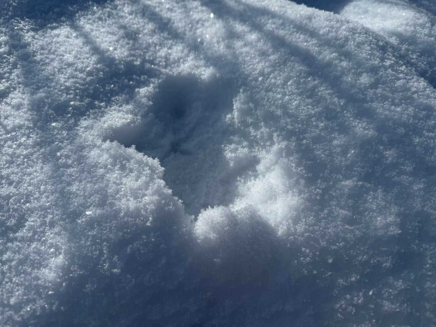 入笠山 周回コースの写真