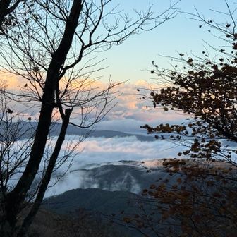 雲海がステキ〜(ﾉ˶>ᗜ​<˵)ﾉ