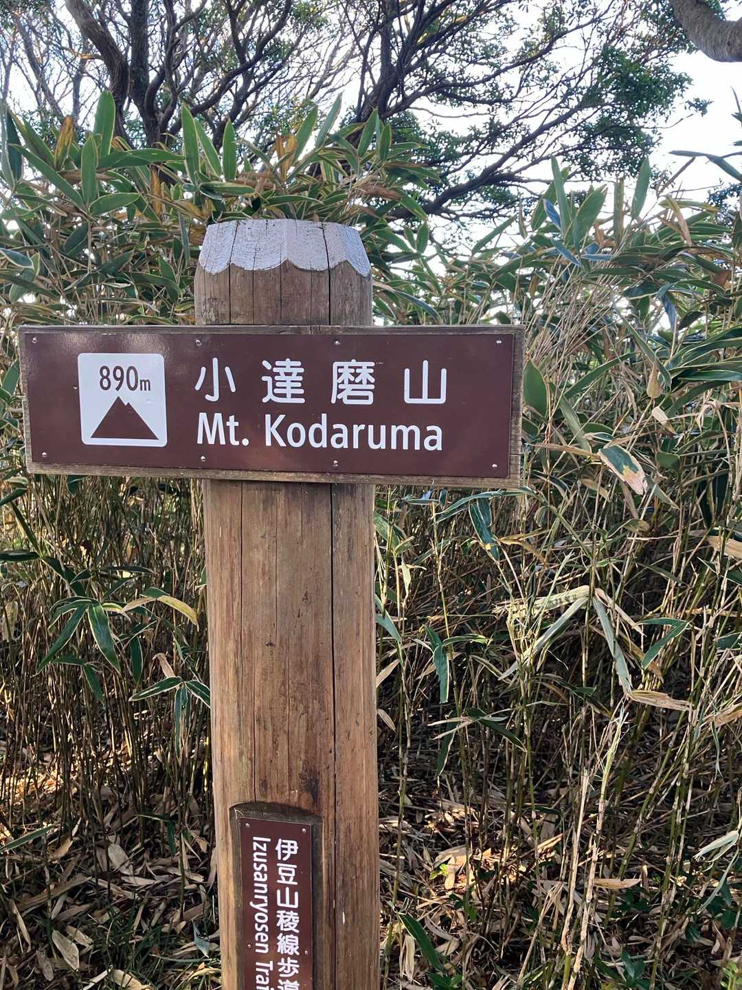 戸田峠-小達磨山 往復コースの写真