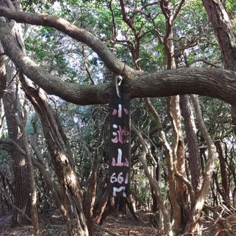 小池山にも寄り道