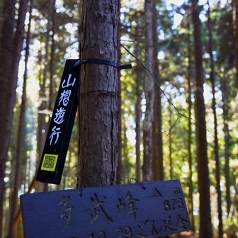 多武峰⛰️
地図がなければ絶対気付かないピーク😅