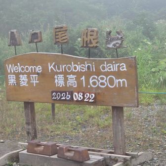 アルペンクワットリフト(黒菱平)
足が草花に擦れて 絡みそうなくらい