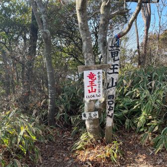 竜王山トウチョー