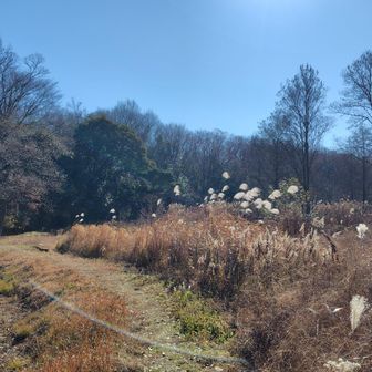 次は、おんか山へ