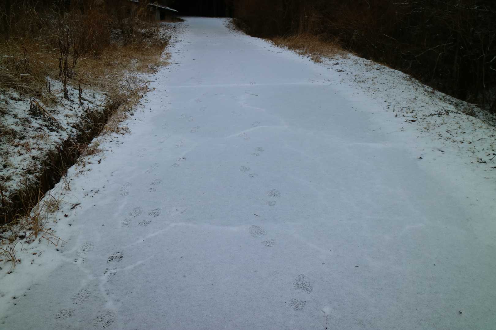 2名分の足跡あり