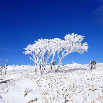 五葉山ブルー🤩この景色は今日だけ🤤