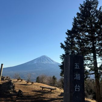 本日最後のピーク"足和田山(五湖台)