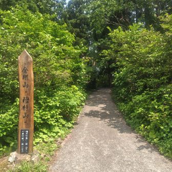 大佐渡石名天然杉を見ようと、去年もここまで来たのに何故か行かなかった🤣
今回は、和木山と雪畑山をプラスして歩きます😅