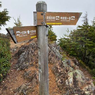 鎖場5連発を登って、大山着