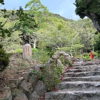早速階段がお出迎え。
この後の記憶がある区間も階段多かった気が....