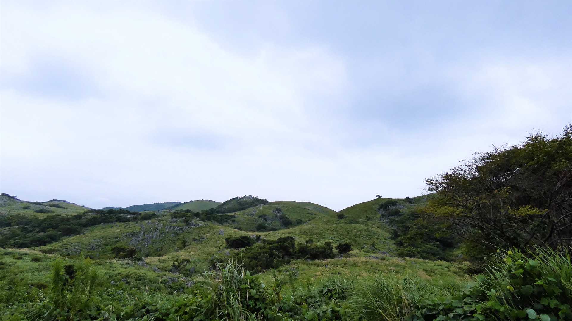 今日は曇り空