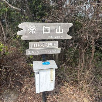 茶臼山登頂しました〜♪