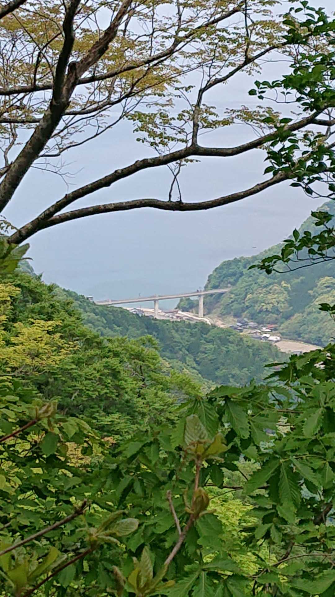 蓮台山登り口-蓮台山-久斗山-久斗山 縦走コースの写真