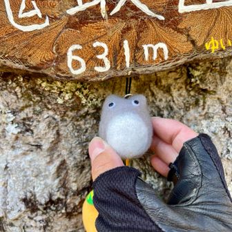 トトロ可愛い🩷。さっきトトロいそうな道🛣️歩いてきたもんな。