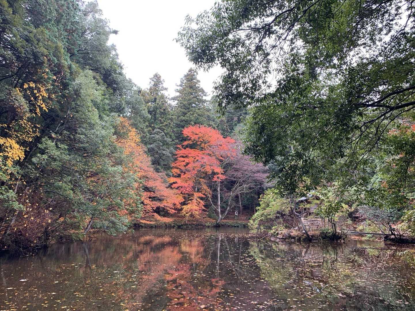 福王寺山 往復コースの写真