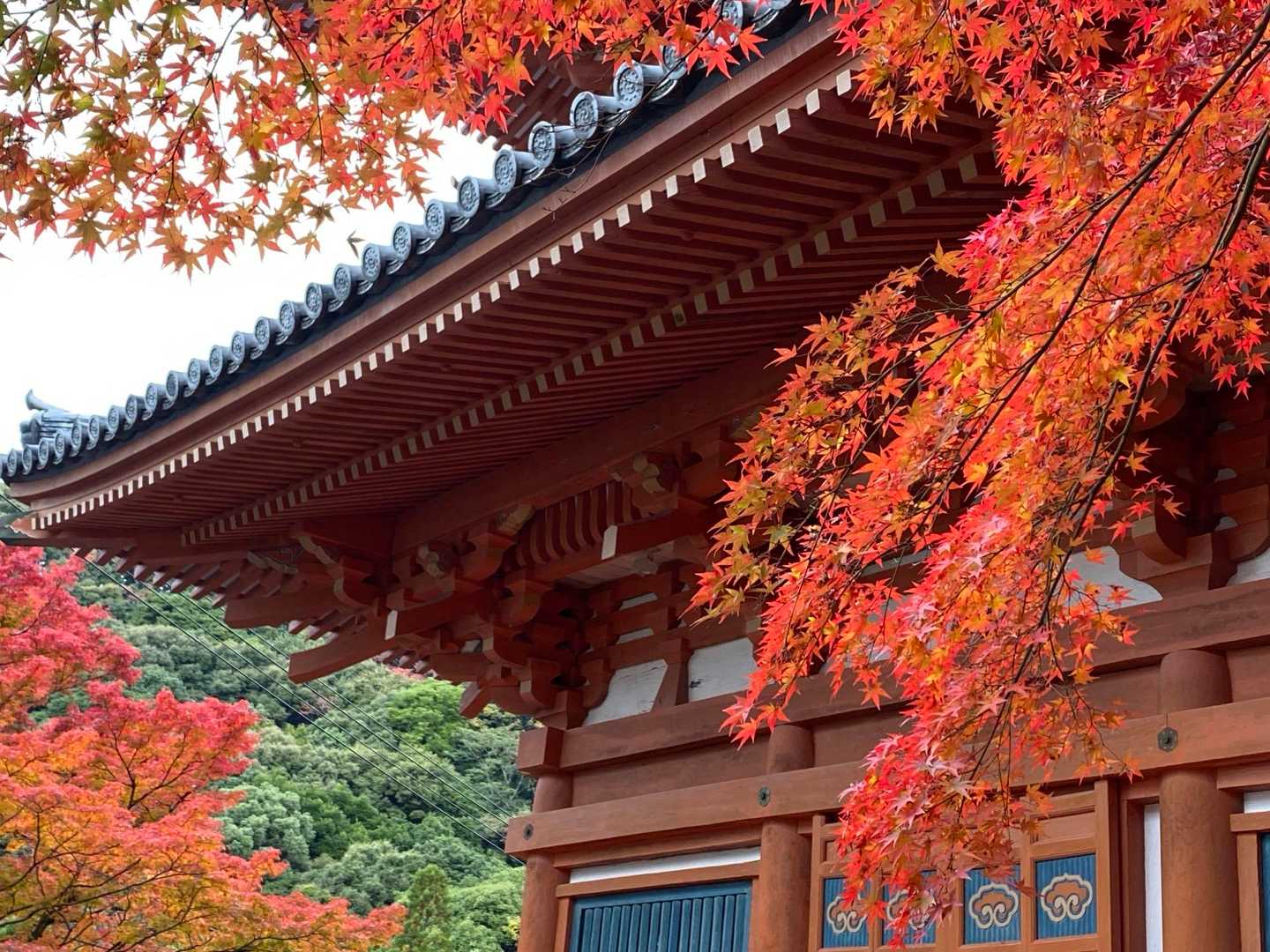 写真撮る角度あまり変えられない。