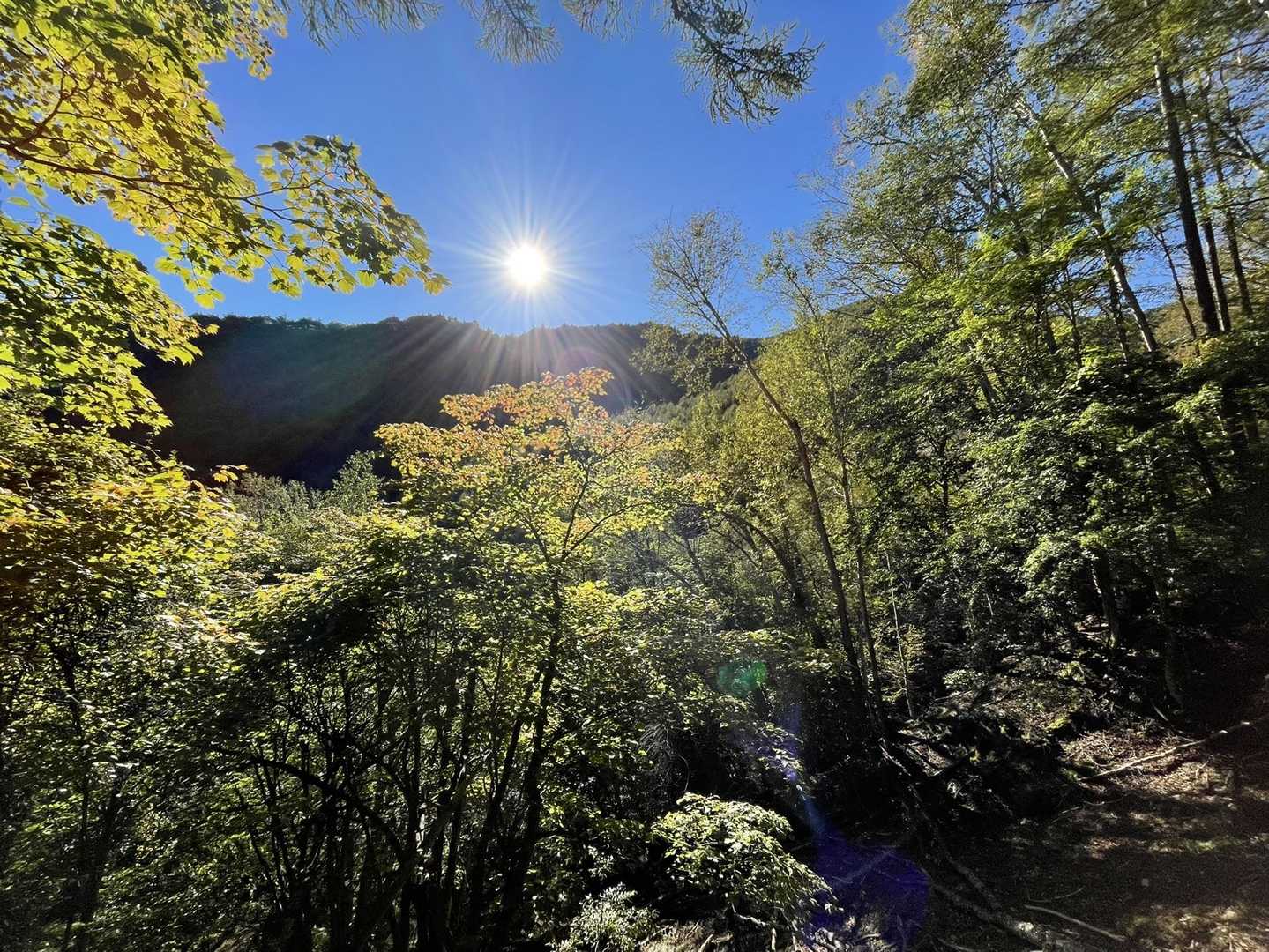 甲武信ヶ岳 周回コースの写真