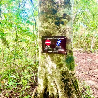 去年無かったような下山コース