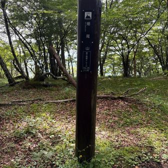 畑尾山山頂。これまた山頂っぽくない…