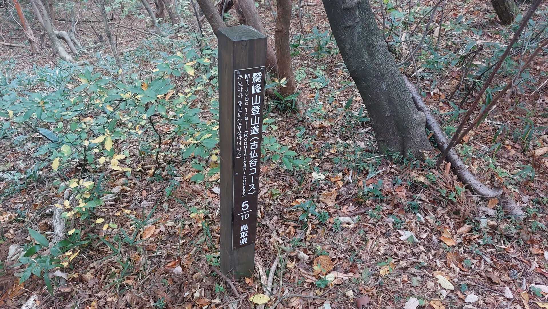 はい、半分きました😃
結構汗かいてます➰👋