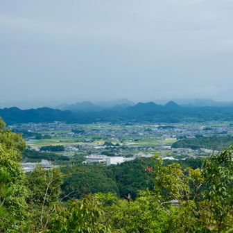 だいぶ霧が取れてきました。