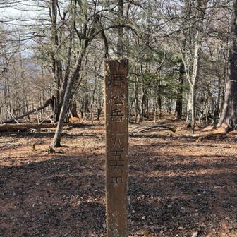 唐松岳は眺望なし