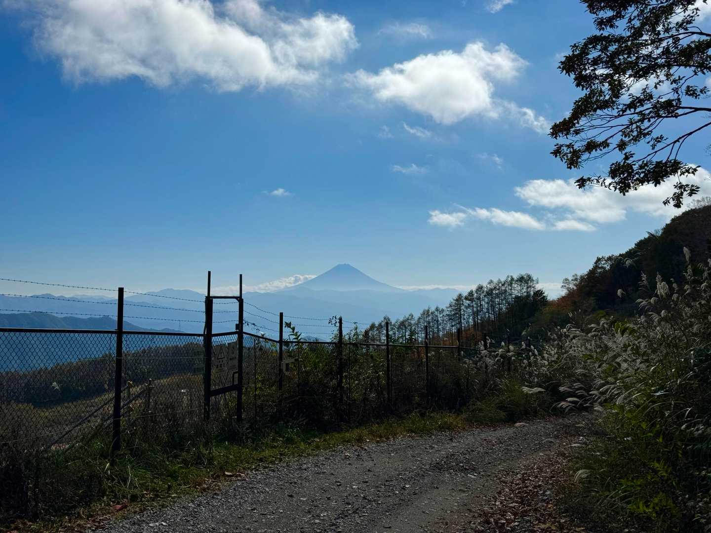 ゴール手前のここからも富士山見えました