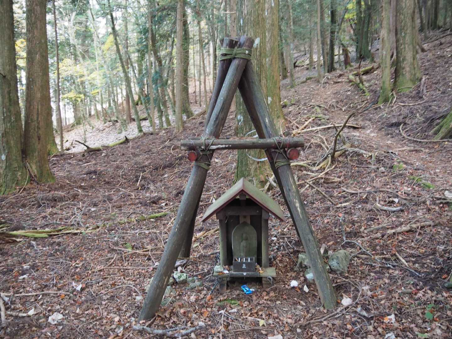 地図にあった山ノ神かな？