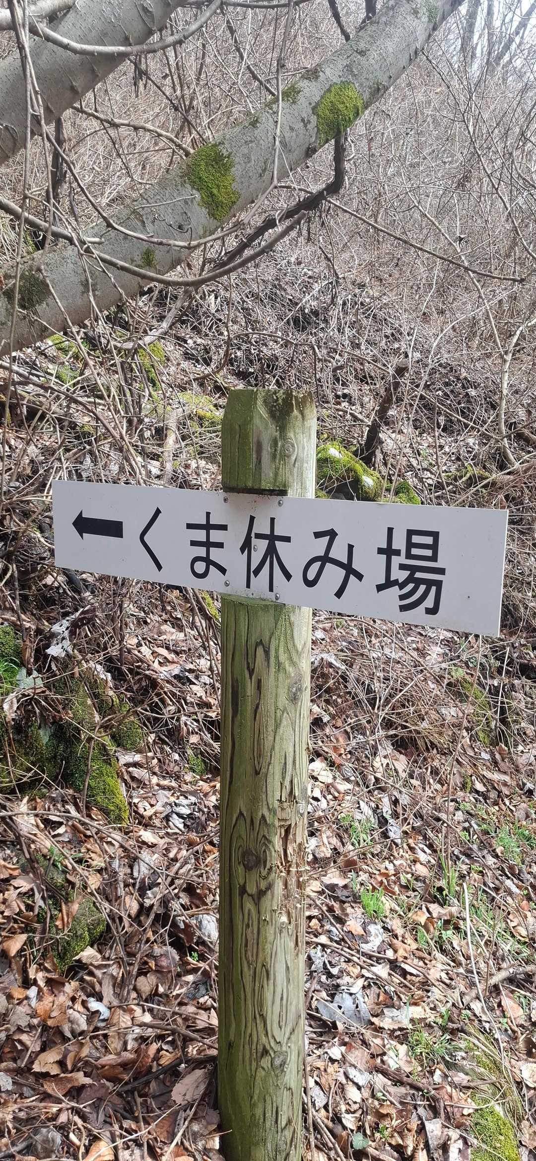 えっ😱💥