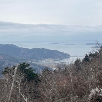 女川が見えた👀