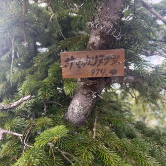 山頂標識ありました

うれしい😃