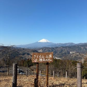 つぶらの公園の中にある、さくら山
芝生が広がっていてくつろげます！