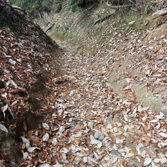 初めて歩く雲母(きらら)坂