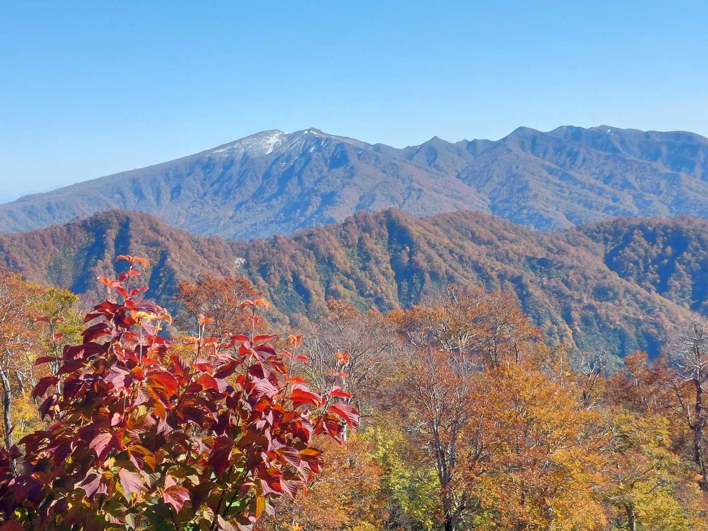 浅草岳 と🍁