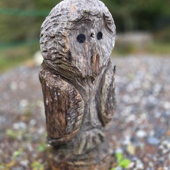 フクロウちゃ〜ん🦉
こんにちは✨️
今日も健気な姿見せ頂きホッとするよ🥰