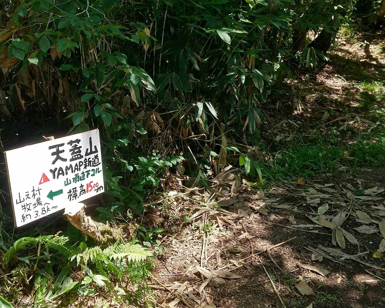 下山は予定通り旧道で↗️
YAMAP新道は次回歩かせて頂きます。