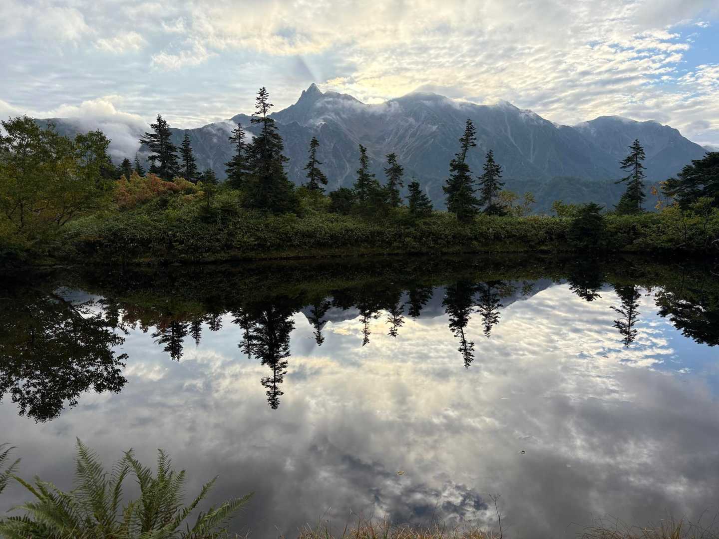 薬師岳登山口-五光岩ベンチ-太郎山-北ノ俣岳-赤木岳-中俣 縦走コースの写真